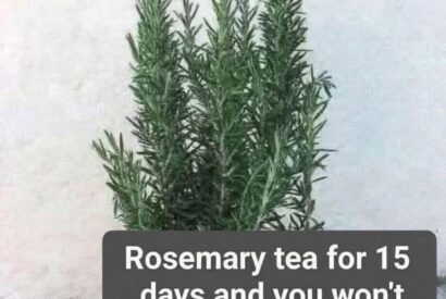 Thumbnail for Rosemary Tea for Wellness: A Natural Herbal Remedy